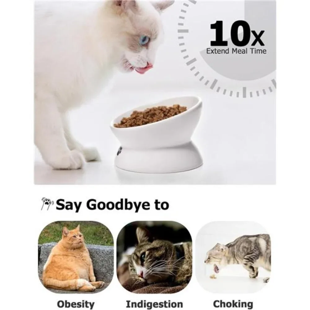 Cat Bowl Anti Vomiting, Raised Food Bowls, Tilted Elevated Bowl,Ceramic Pet Bowl